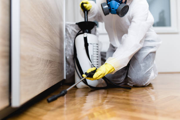 Best Mosquito Control Services  in Burlington, OH