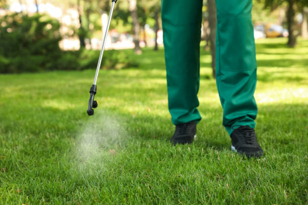 Best Termite Control Services  in Burlington, OH