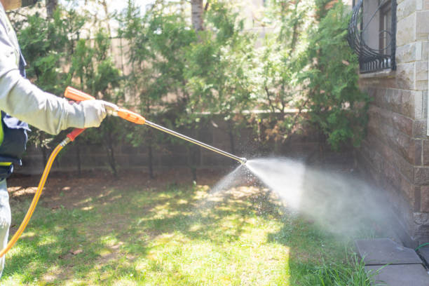 Best Cockroach Control Services  in Burlington, OH