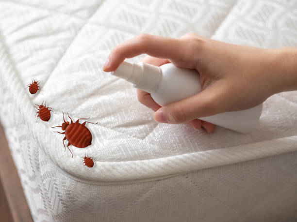 Best Affordable Pest Control Services  in Burlington, OH