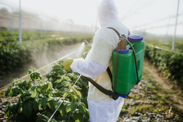 Best Pest Inspection Near Me  in Burlington, OH